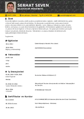 Bilgisayar Mühendisi CV Örnekleri cv indir